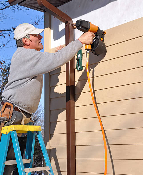 Best Storm Damage Siding Repair  in Virginia, IL