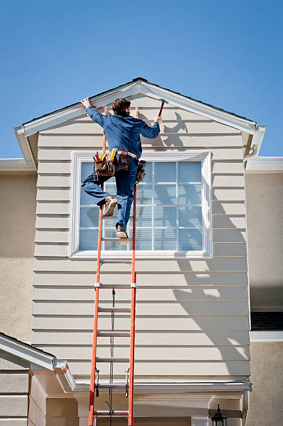 Historical Building Siding Restoration in Virginia, IL