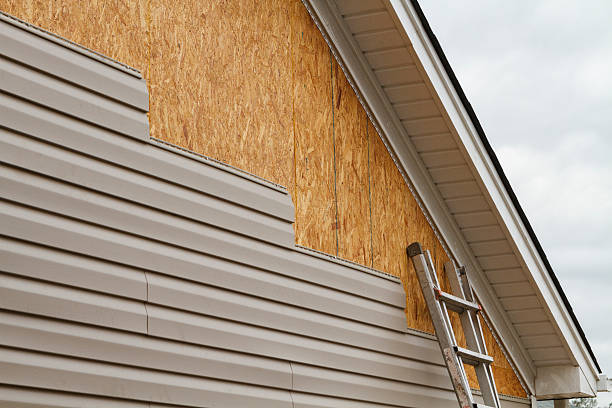 Custom Trim and Detailing for Siding in Virginia, IL